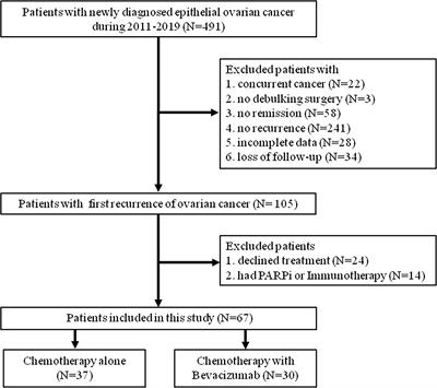 Real-World Efficacy of Bevacizumab in Patients With Recurrent Epithelial Ovarian Cancer